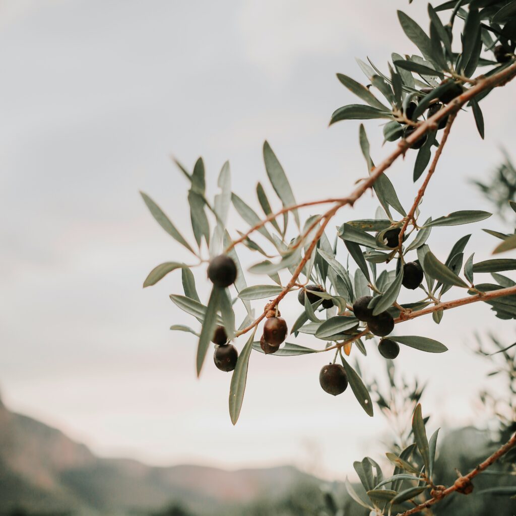 Sicilian Festivals & Events